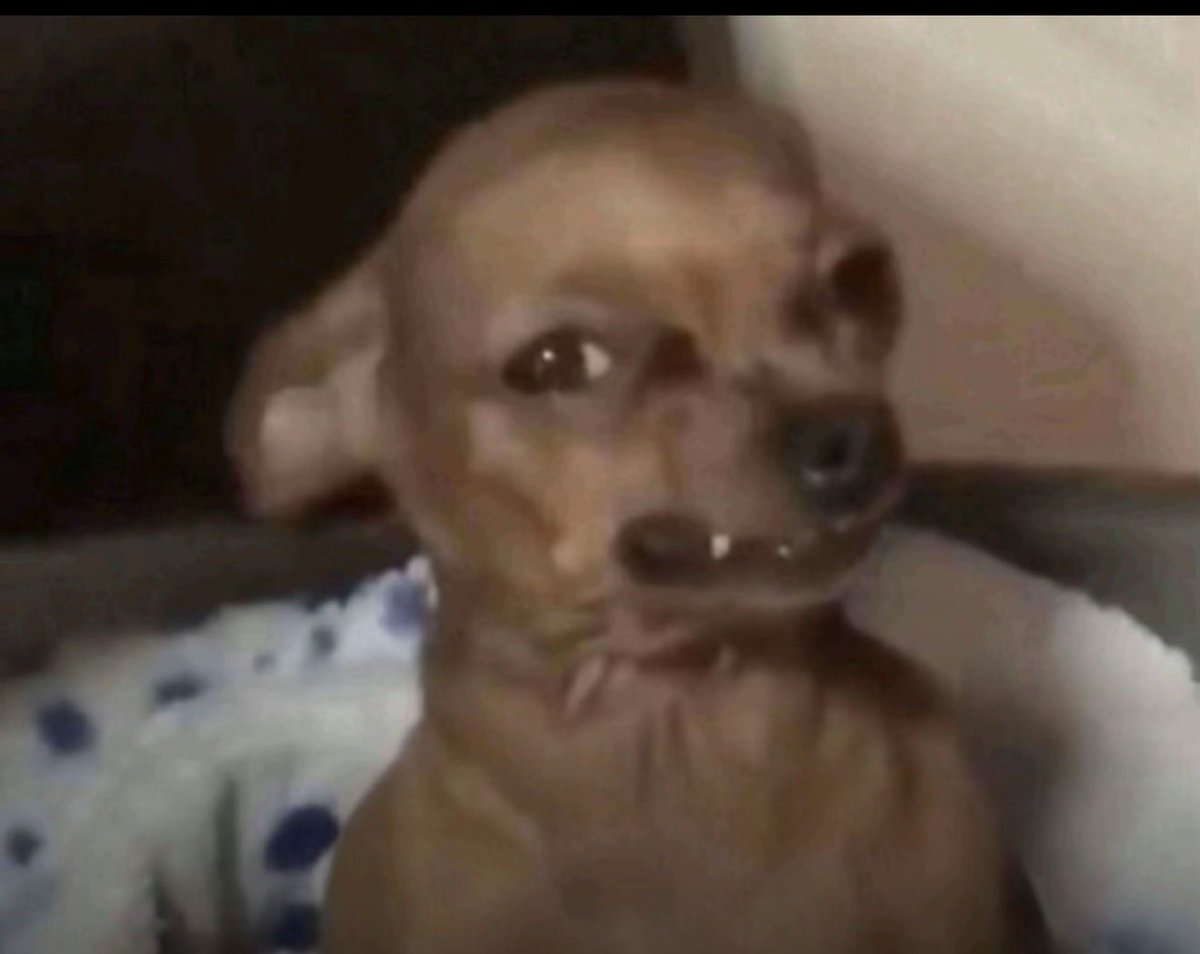 piefacegiraffe's tweet image. Ulta Beauty World sold out. I hope the government shuts the country down during it so nobody can go. Fuck all yall.