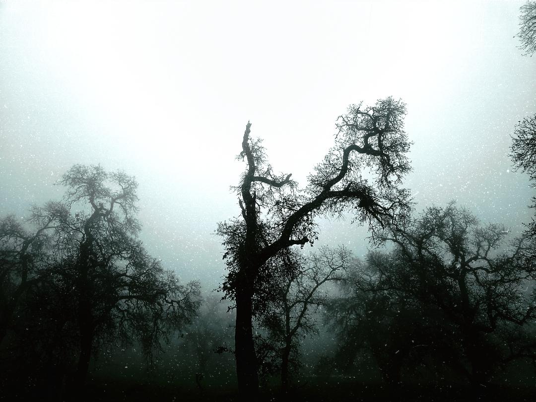 ruff_n_redE's tweet image. 