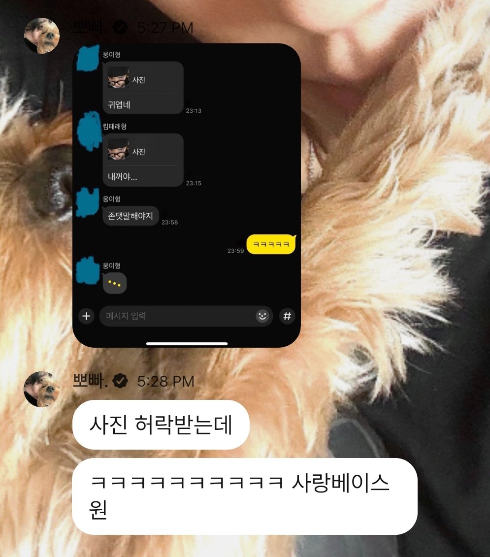 yupeaches's tweet image. NOT YUJIN LEAKING ZB1 GROUP CHAT 😭😭

🐰: getting permission for the photo
🐰: ㅋㅋㅋㅋㅋㅋㅋㅋㅋㅋ lovebaseone

(in the screenshot pic)

woongie hyung: cute
kim taerae hyung: he’s mine...
woongie hyung: you should speak politely
yujin: ㅋㅋㅋㅋㅋ