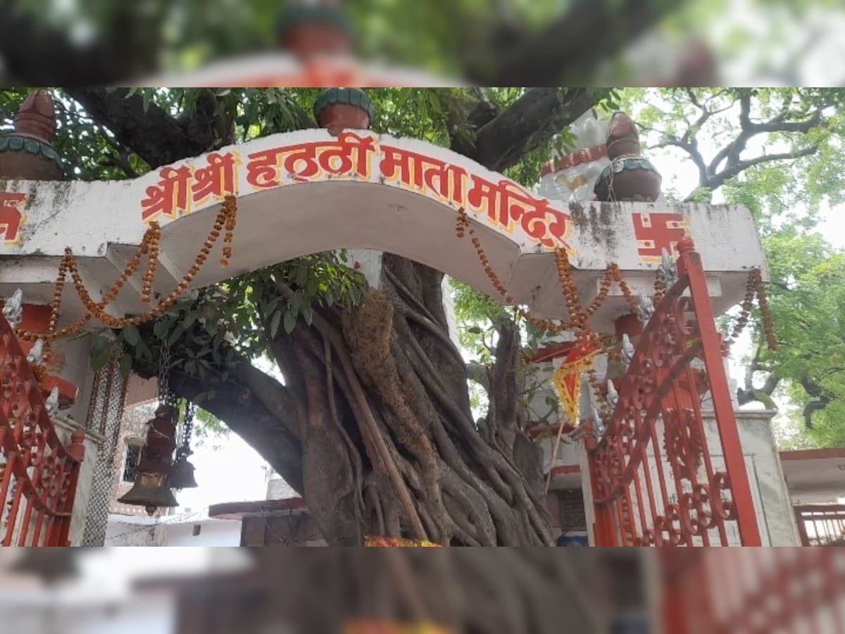 ArvindSinghUp's tweet photo. शंकराचार्य जी हिंदुओं के सर्वोच्च गुरु हैं; लेकिन अधिकांश लोग उनका नाम तक नहीं जानते। मैं हमारे पूर्वांचल की बात कर रहा। 

हमारे यहाँ लोग तो भोले बाबा, विंध्याचल देवी, पाटन देवी, रामजी, कृष्ण जी, छट्टी माई, हट्टी माई, काली माई स्थान, ग्राम देवता, स्थान देवता, बरम बाबा का नाम जानते हैं। 

शास्त्र; हमारे गावों के लोगों को तो शास्त्र पढ़ना तक नहीं आता था। संस्कृत तो छोड़िये, हिन्दी तक ठीक से नहीं आती थी… भोजपुरी अवधी आती है।

हम मंत्र, स्तोत्र नहीं जानते। 
तुलसी बाबा की चौपाई जानते हैं क्यूँकि अवधी में है…
 "भोले बाबा लाज रक्खें! विंध्याचल माई… पाटन देवी तोहर भंडार भरें" सदियों से यही हमारी प्रार्थनाएं हैं। 

हमारे लोग वार-त्योहार, विवाह इत्यादि प्रसंगों के पहले राच घुमाने मंदिर जाते थे। कुछ अच्छा हो तो पूड़ी-हलुआ (कढ़ाई) चढ़ाते हैं।

हमारे एक ग्राम देवता होते हैं, एक लोक देवता होते हैं। उनके मंदिर के लिए घी का दीपक हर घर से जाता है। इतने में वो प्रसन्न हो जाते हैं। 

हमारे यहाँ दादियां-नानियां प्रभात के चार बजे उठकर रामचरित मानस, श्रीमद्भगवद्गीता का पाठ नहीं करतीं थी
 “जगदम्बा घर में दियरा बार अइनी हे, जगतारण घर में दियरा बार अइनी हे” लोकगीत गाती हैं…

हमारे गाँवों के ब्राह्मणों को विवाह हो अथवा घर का मुहूर्त; उन्हें मंत्र कम आए या ज़्यादा। हमारा फिर भी “बाबा पा लागी” कहते है। हमारे यहाँ कहते हैं - पंडित जी बस रहे काफ़ी हैं। 

हमारे यहाँ जागरण में गाँव के ही गोस्वामी आते हैं। एक जन आए, तब भी चल जाता है। शेष, गाँव समाज के लोग ढोलक, मंजीरे, झांझर बजा लेते हैं। ऐसे में हो जाता है जागरण। 

माता जी का जागरण तो हमारे घर की माताएं, बहनें, बहुएं कर लेती हैं। पाँच अवधि-भोजपुरी भजन गा लेती हैं, दस बार चाय पी लेती हैं, बस। हमारे यहाँ “देवी माई” हम जैसे ही हैं। हम उन्हें अपनी तरह से मनाते हैं और वो मान भी जाती हैं। 

मंदिर के सामने से निकल रहे हैं, और प्रणाम में सर झुका लिया, मंगल को हनुमान जी पूजते हैं और सोम को भोले बाबा को... फिर भी हमारे लिए वो आठों याम सहायतार्थ तैयार हैं। 

हमारे यहाँ हम नवरात्र में दुर्गा पूजा  पंडाल देखते हैं। आनंद आ जाता है। हरेक पंडाल, देवी दुर्गा के ही अलग अलग रूप को सजाते है। मौज ही मौज। प्रसाद वितरण हुआ, माताजी को हाथ जोड़े और चल पड़े घर... हमारे ऐसा करने से हमारे माँ कभी रुष्ट नहीं हुए। 

खैर, अब तो बलि देना बंद ही हो गया। पहले बकरे की बलि देते थे।

हम समझदार नहीं हैं। हम विद्वान नहीं हैं। हम शास्त्रज्ञ नहीं हैं। हम नियमित पूजापाठी नहीं हैं।

फिर भी हम हिन्दू हैं।
गौ, गंगा, गायत्री जैसे पवित्र हिन्दू। शंकराचार्य जी के बराबर हिन्दू।