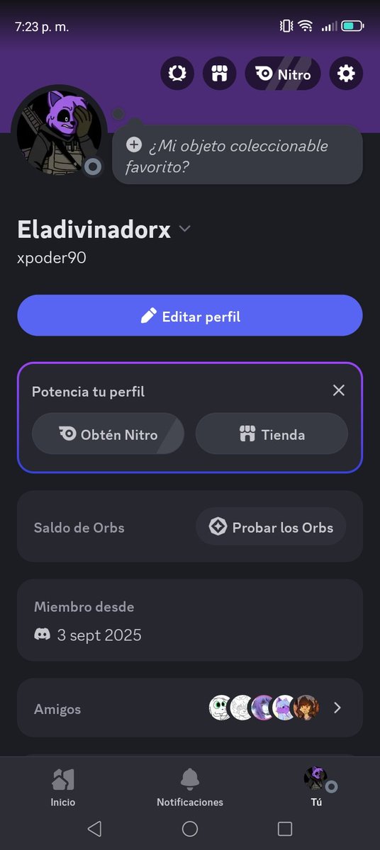 Xpoder el gato soldado 😎 tweet media