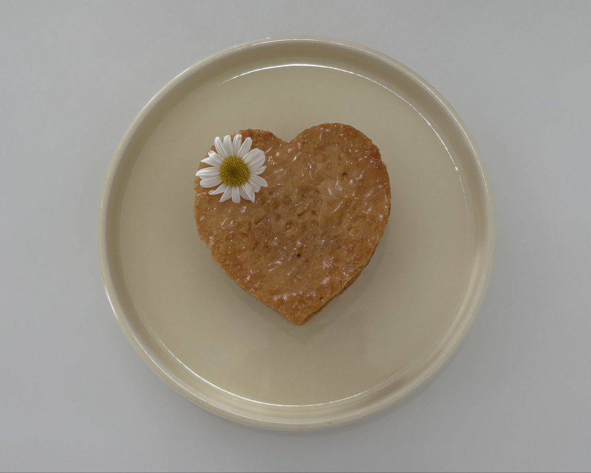 binzipi's tweet image. 📍너흐 neoh

디저트도 맛있고 분위기도 최고인곳•••🩵

제주 서귀포시 무릉인향로14번길 20 
naver.me/FpPRFAfx