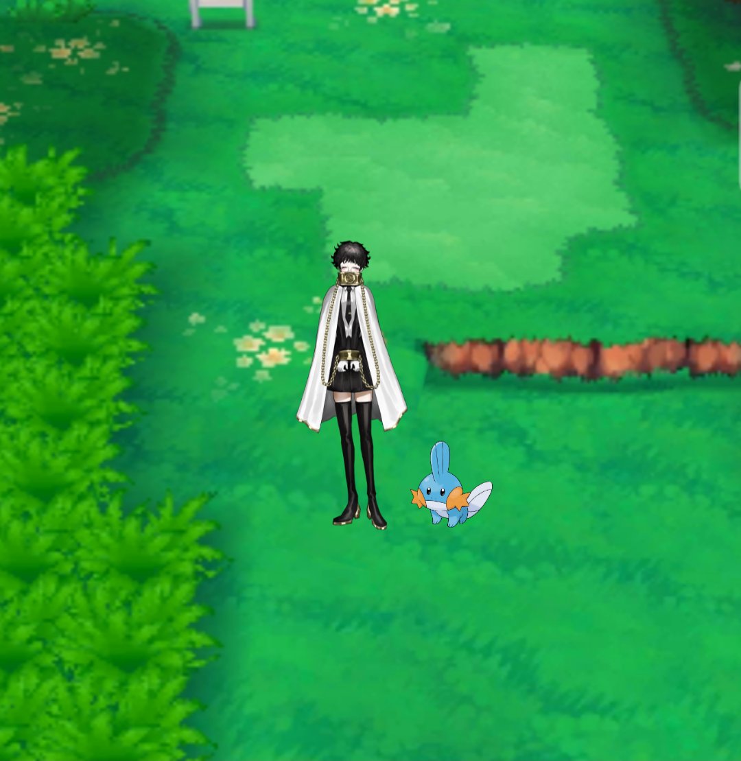 ShackledProxy's tweet image. I-I helped this "professor" and he g-gave me this little... thing! He told me it was a "Mudkip". I n-never heard of anything like it... B-but at least he's cute!