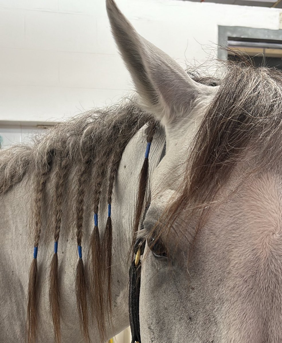 يالدماني دخيلك غط وجهَـك بشيلك 💖