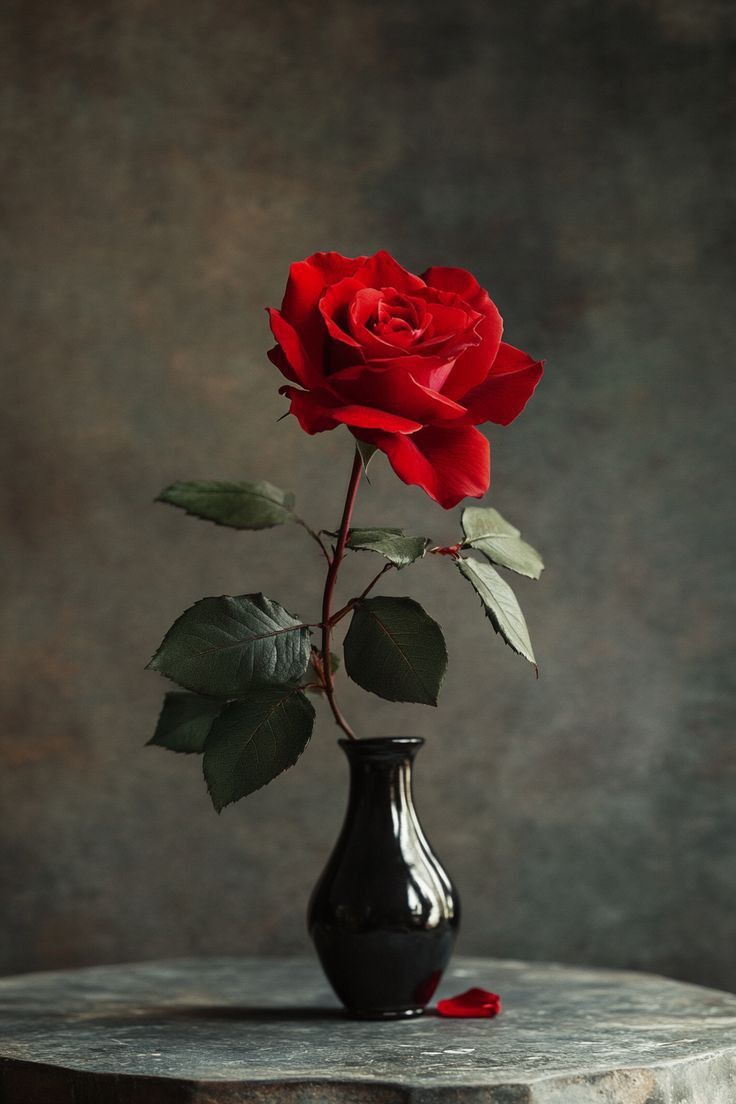 InnaEdgn's tweet image. ✨✨✨