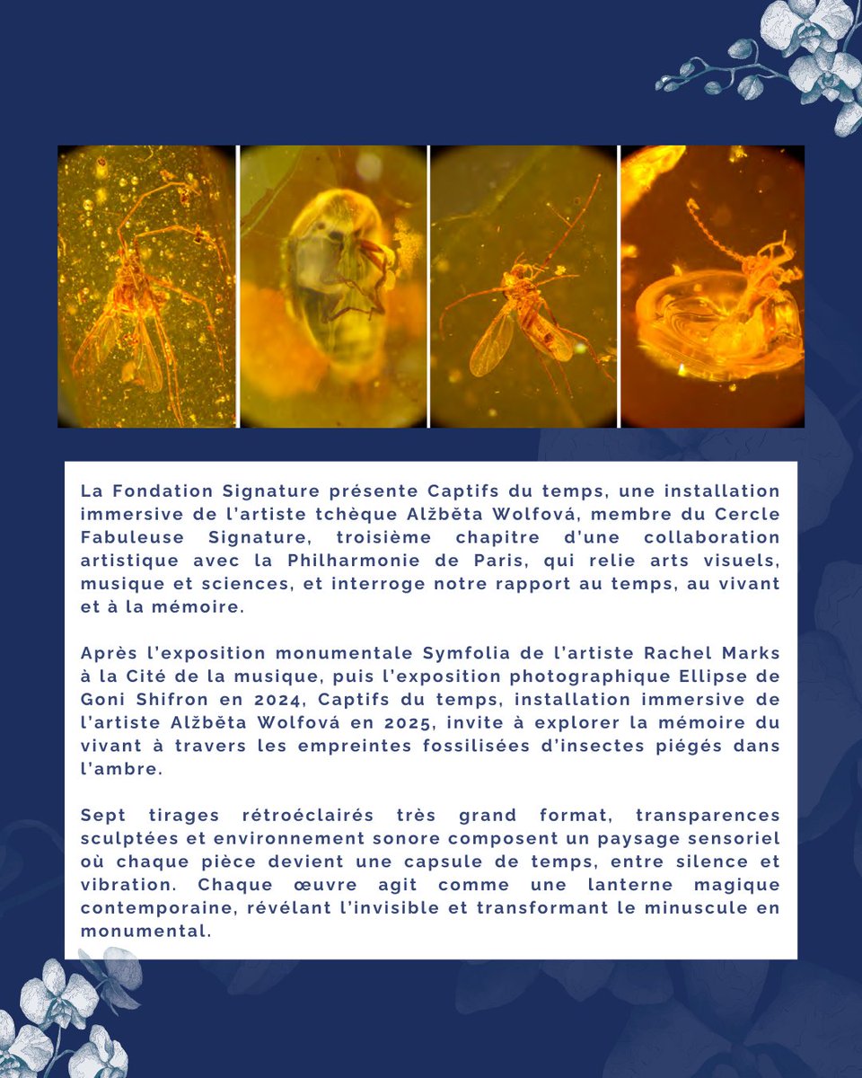 Fondation Signature tweet media