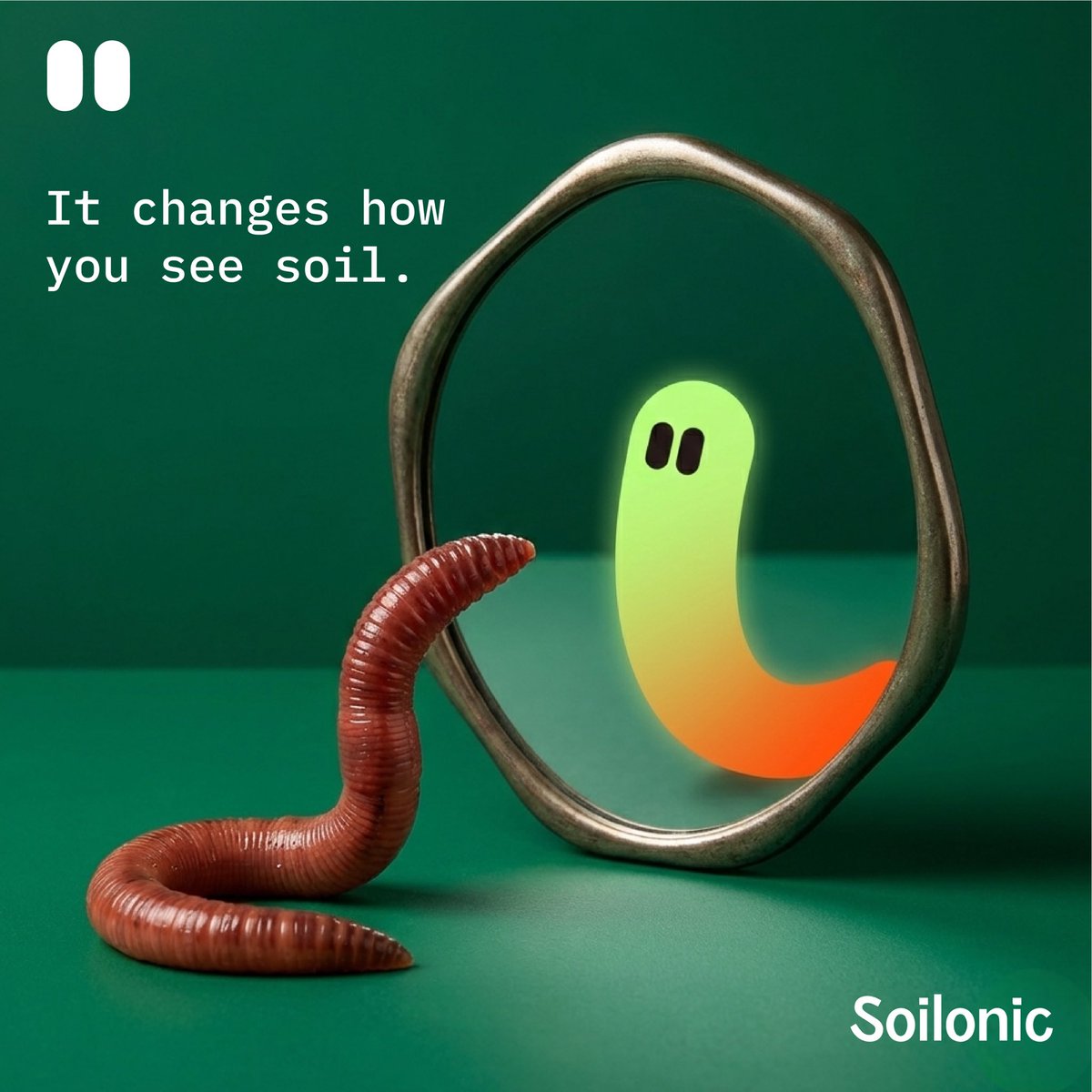 Soilonic tweet media