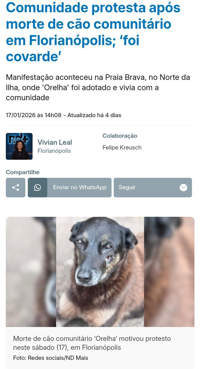 miniaturah's tweet image. #JustiçaPeloOrelha O Orelha foi espancado até a morte por um grupo de adolescentes de elite em Florianópolis. Tentaram apagar as provas, sumiram com o vídeo e usam ameaças para abafar o caso. Mas o sangue dele não será silenciado!