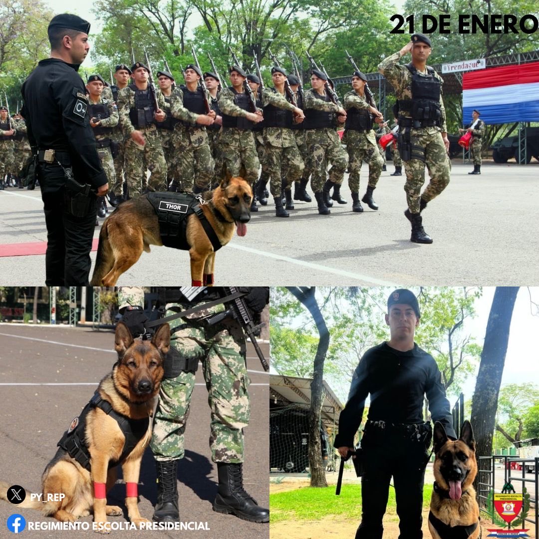 py_rep's tweet image. 