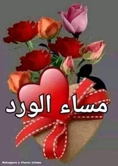 kaddour Abdou tweet media