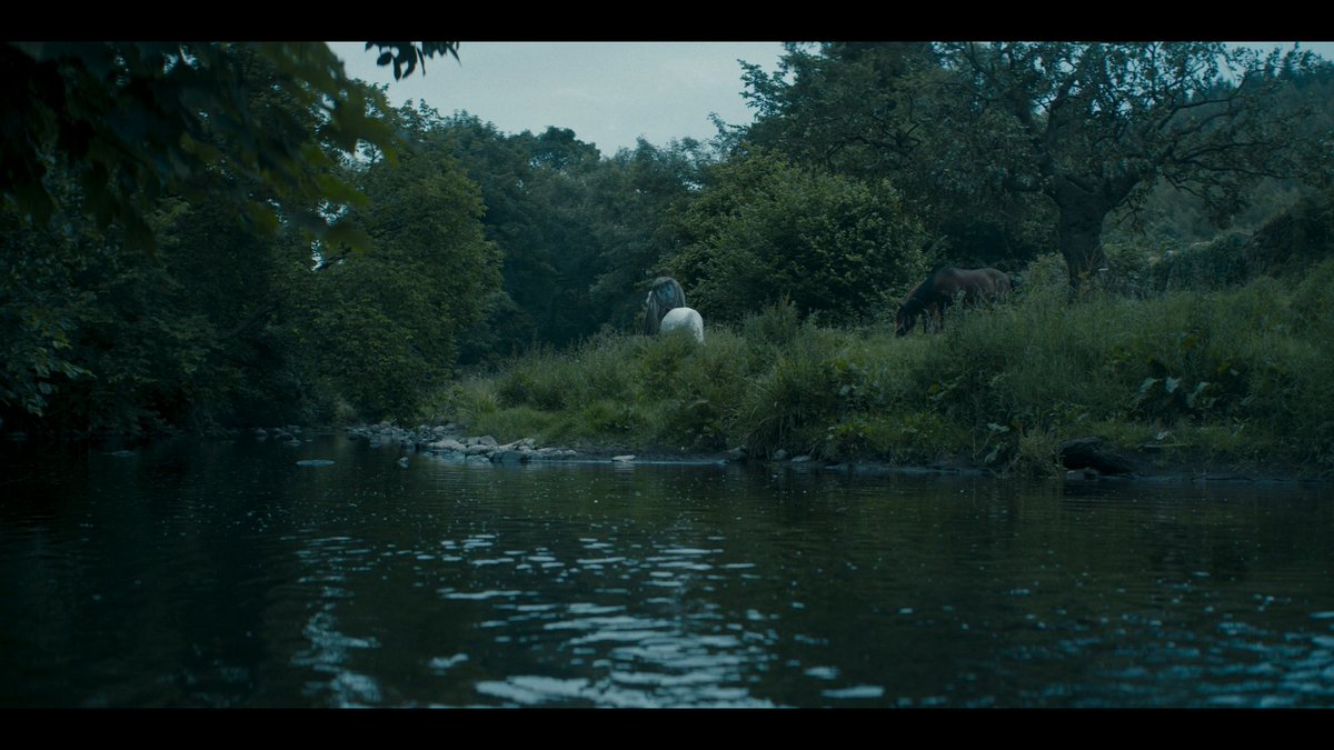 إليوس (@tarnished______) on Twitter photo 