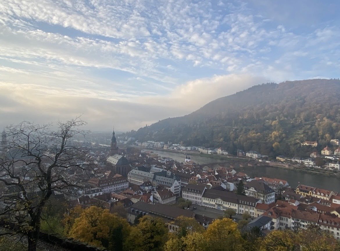 TrueRacing tweet media