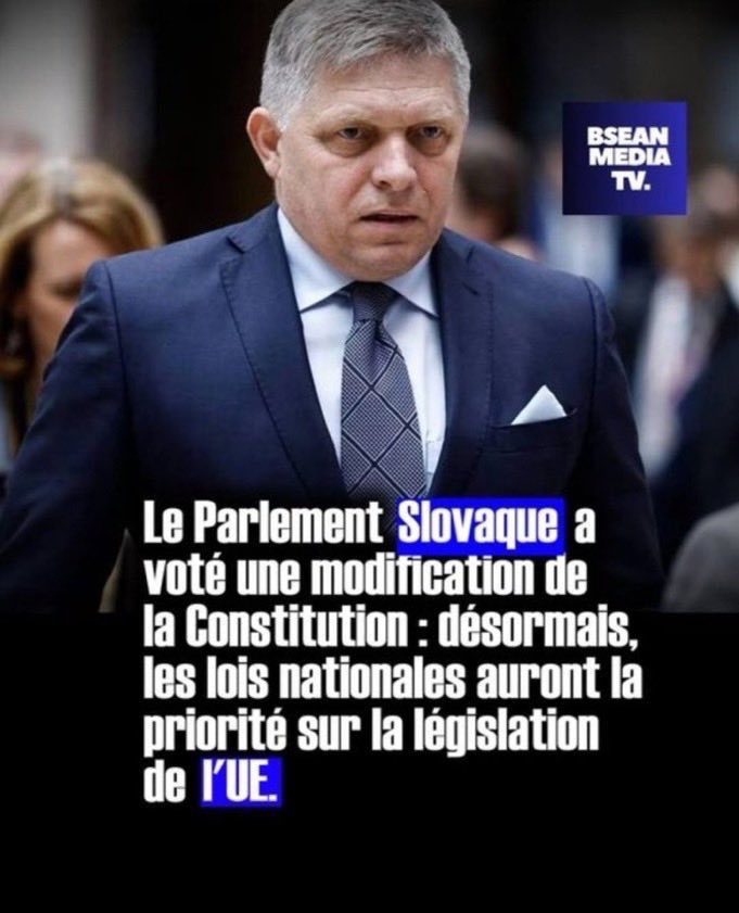 🇸🇰 Le Parlement Slovaque a voté une modification de la Constitution : désormais, les lois nationales auront la priorité sur la législation de l'UE.

🗣️ Approuvez-vous de tel mesure ? 

A. OUI
B. NON
