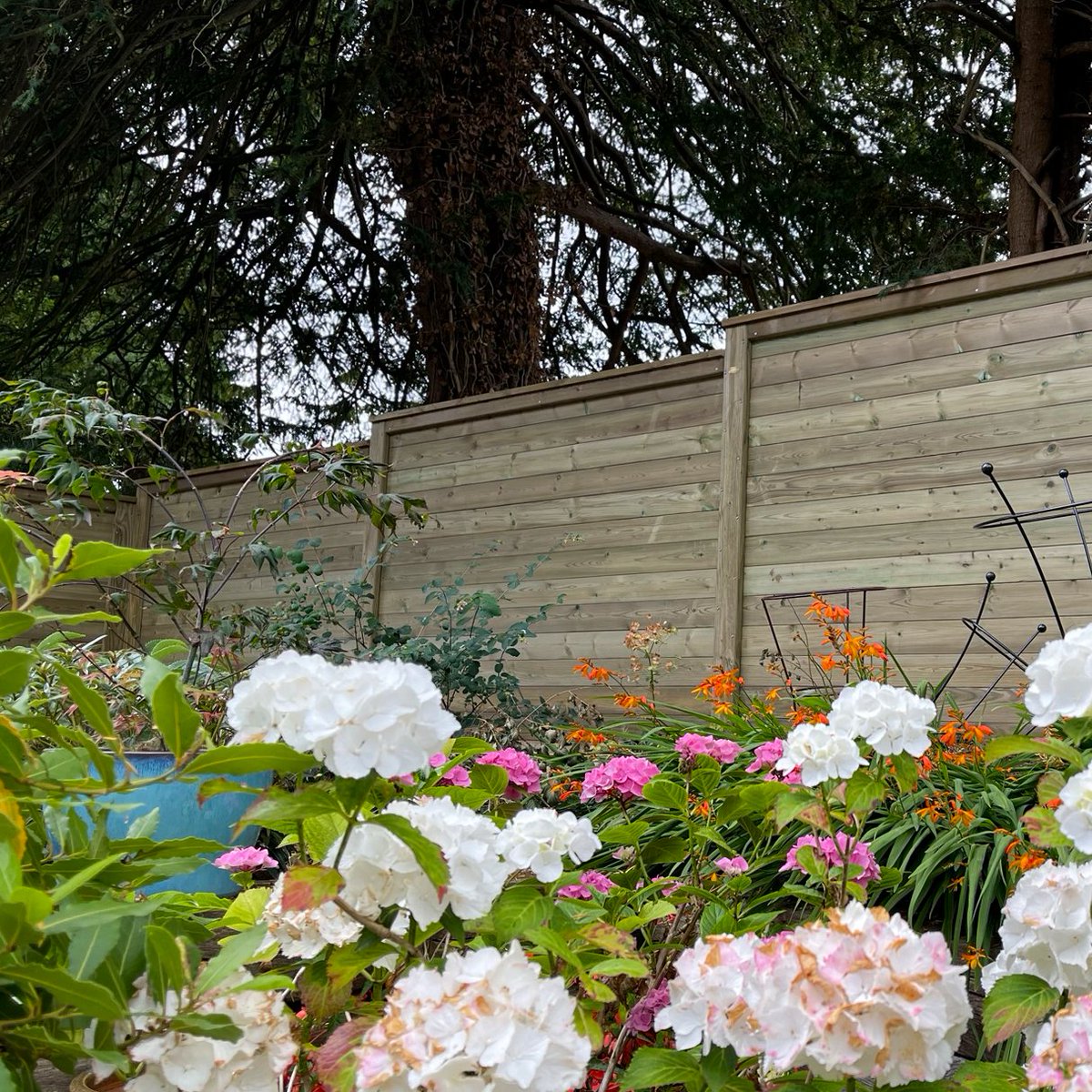 Jacksons Fencing tweet media