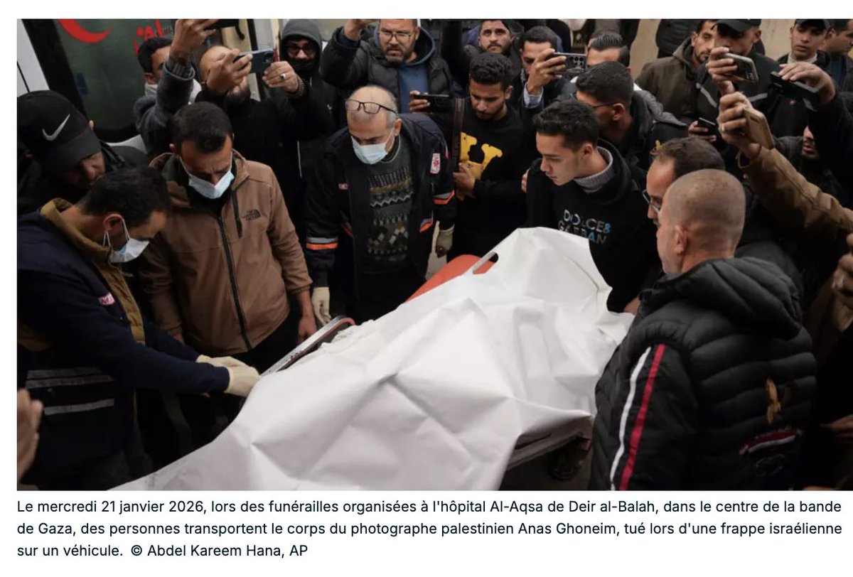 Elodie Safaris tweet media