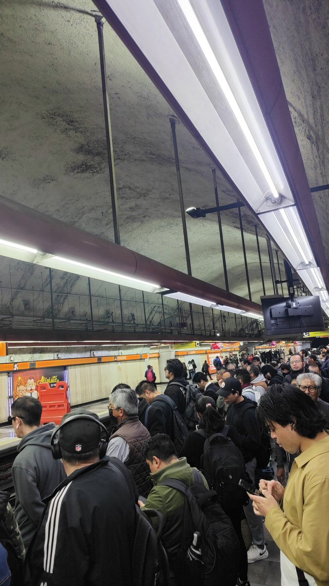 danielee7 tweet media