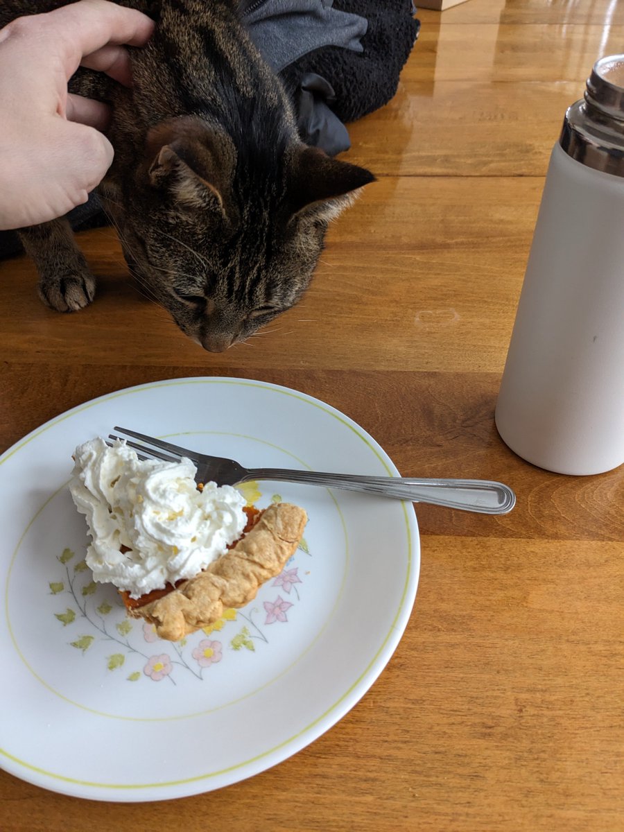 gm 🥧 ☕ 😺