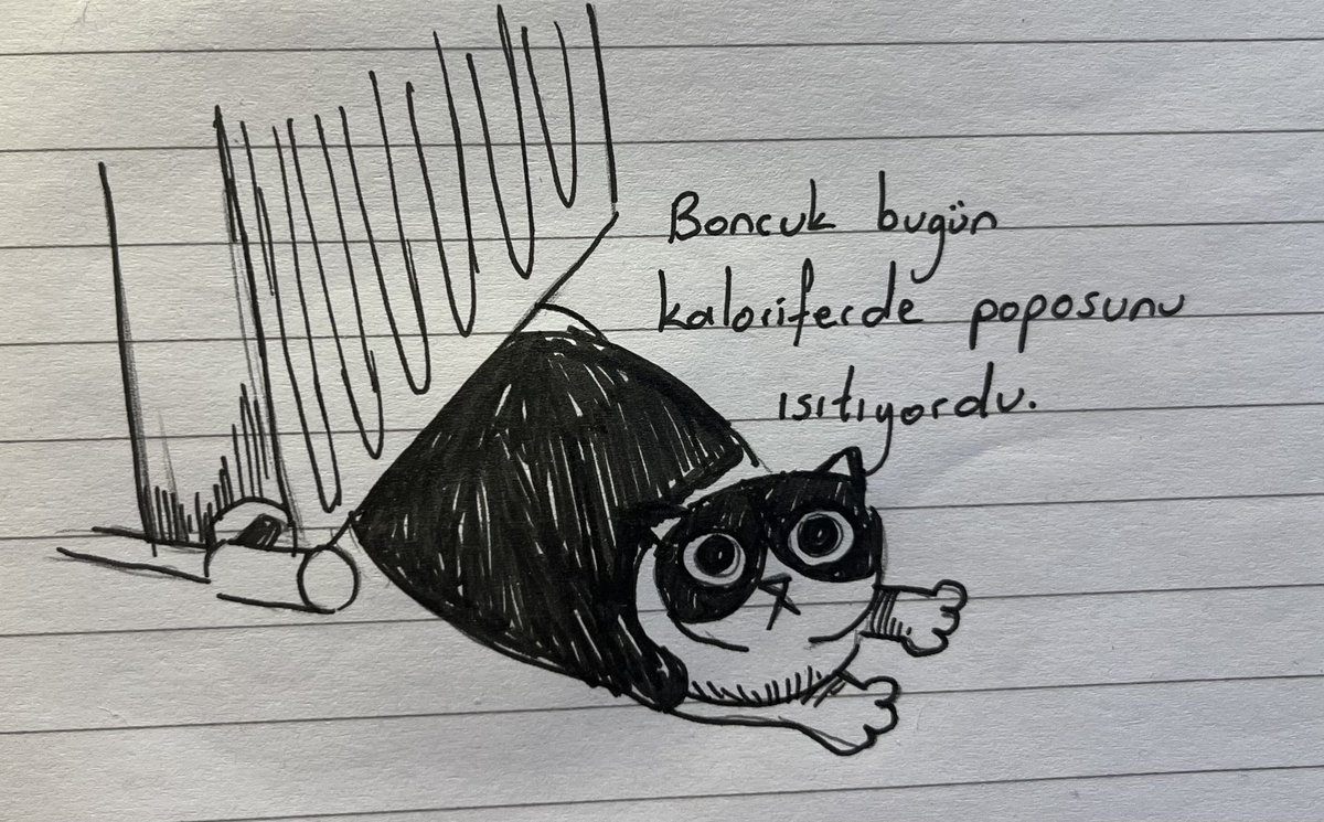 Daily Boncuk tweet media