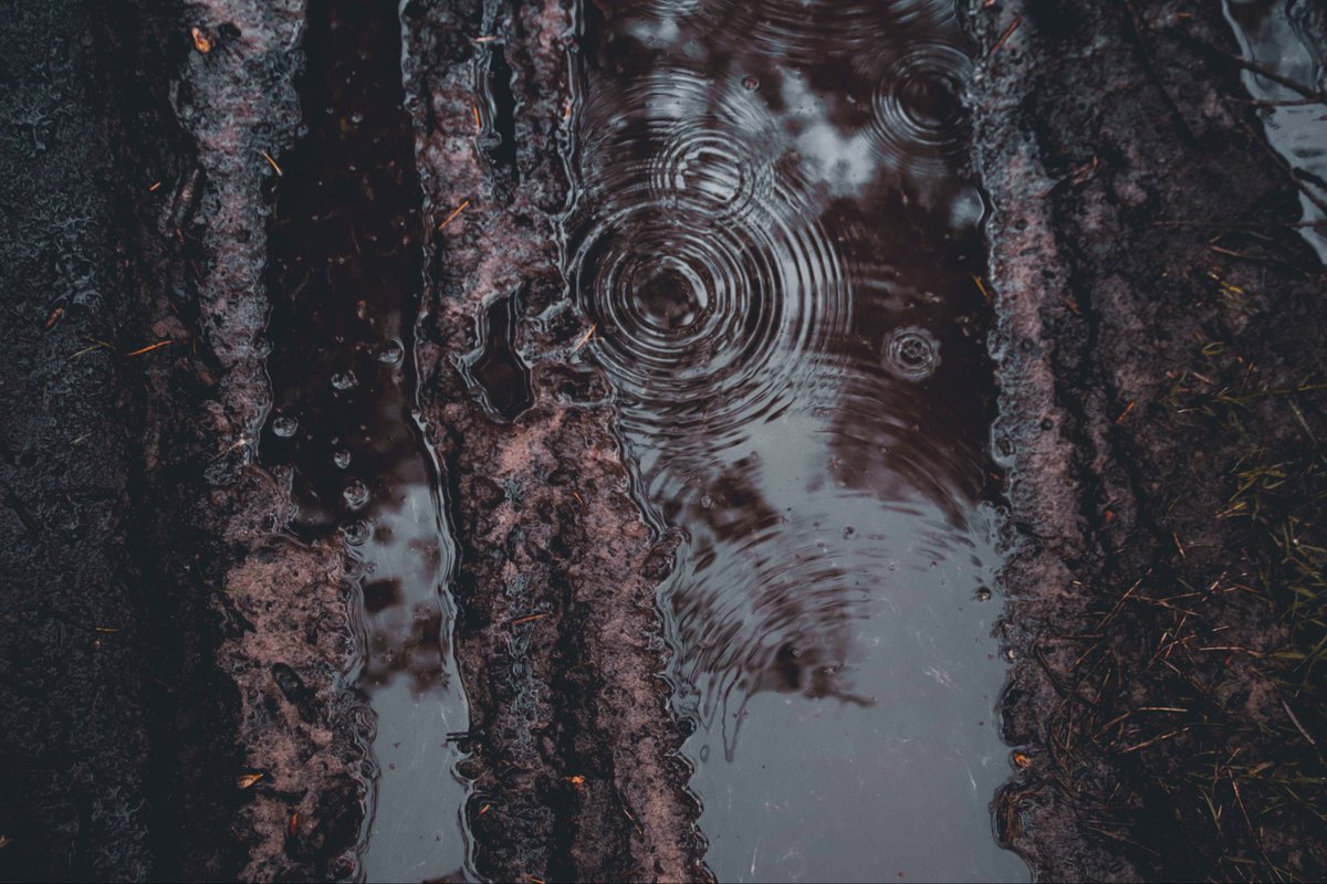 Cipher_369 tweet media