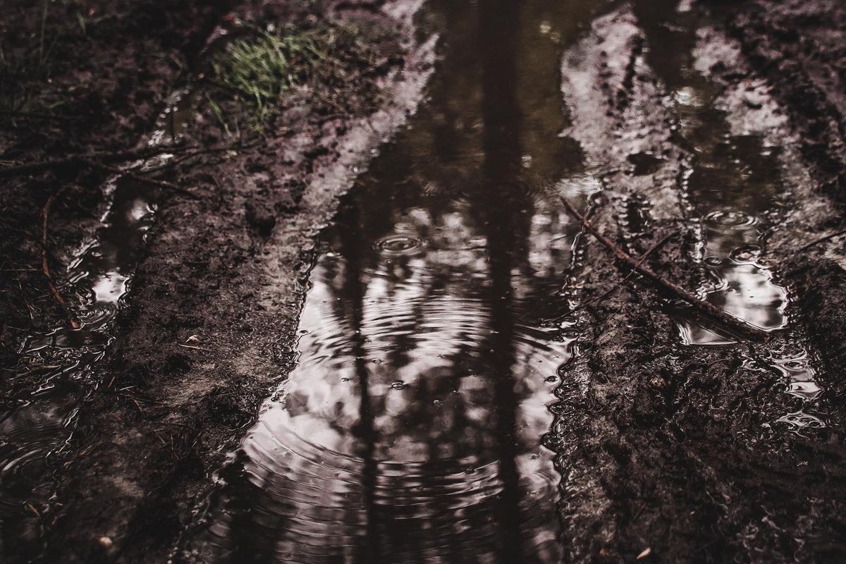 Cipher_369 tweet media