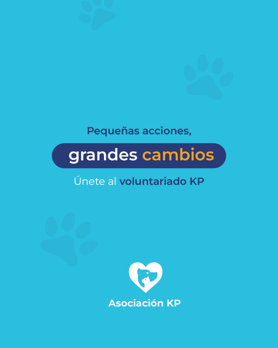 🐾 VOLUNTARIADO KP 2026 🐾

Si los animales son parte de tu propósito, este espacio es para ti. Súmate al voluntariado KP y participa en apoyo a albergues, recorridos solidarios y colectas en distintas zonas de Lima.

📲 Únete:
Escríbenos por interno o al WhatsApp 922 217 265