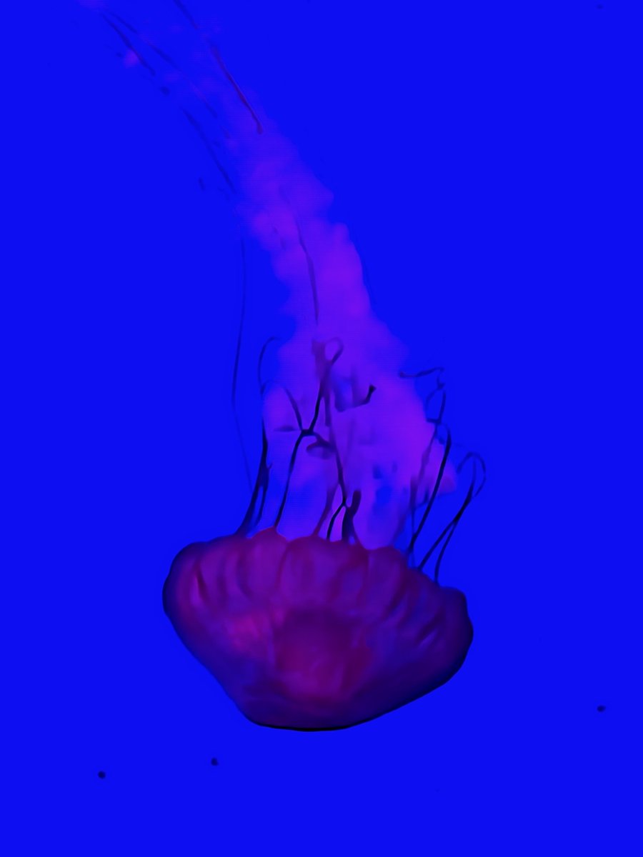 MichaelderBeste tweet media