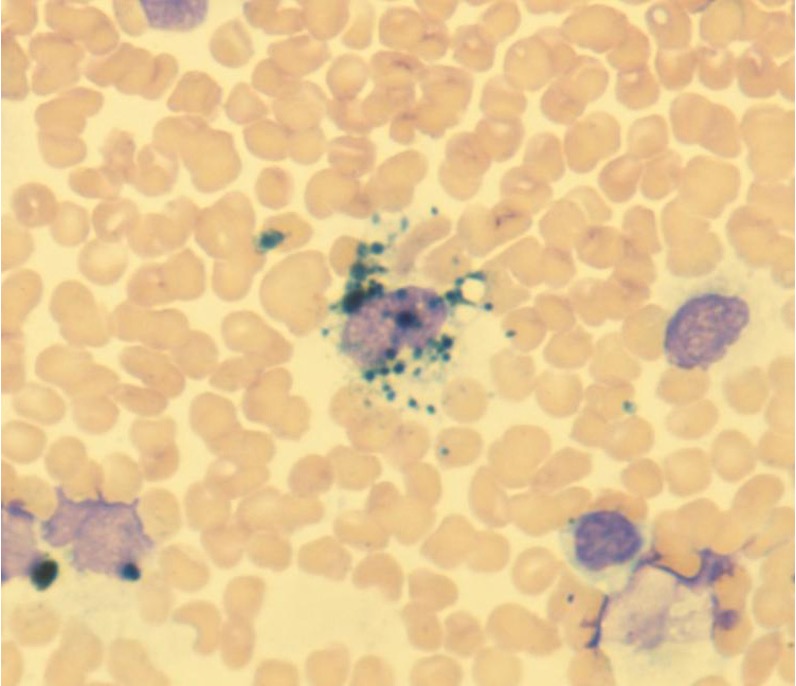 James Noake tweet media