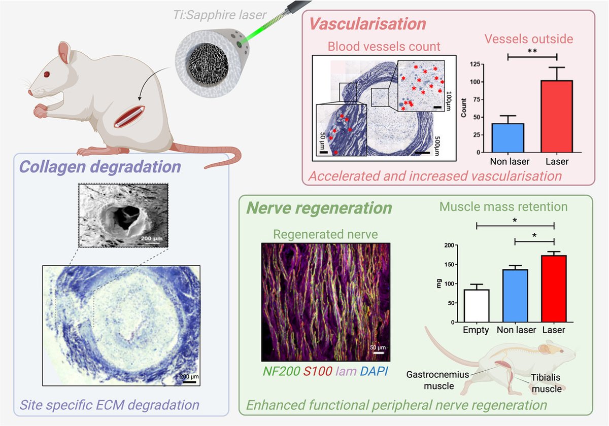 RCSI TERG tweet media