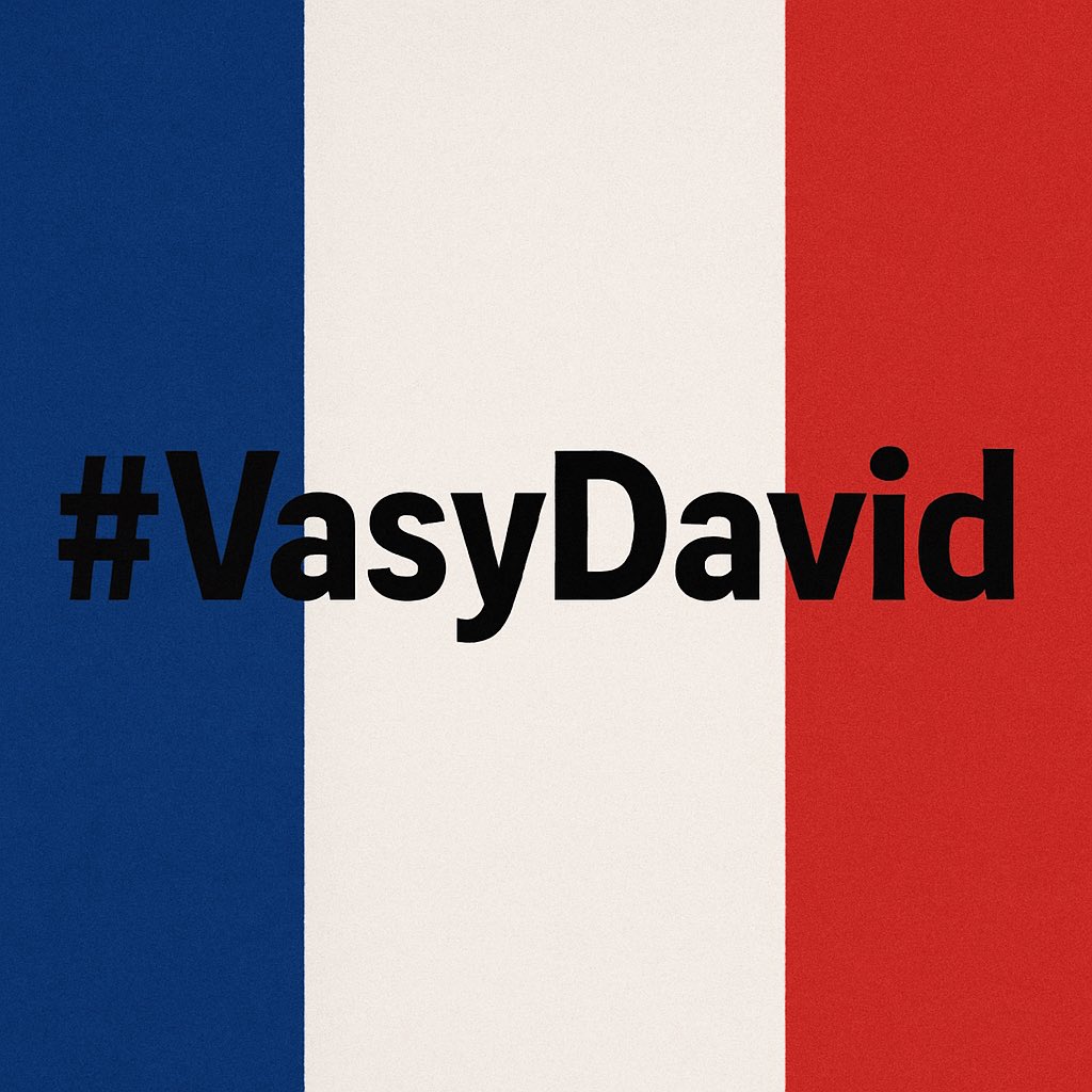 🔵🔴 Le #VasyDavid n’était pas vain !
Meeting de <a href="/davidlisnard/">David Lisnard</a> époustouflant hier soir.
Intervention sur <a href="/RTLFrance/">RTL France</a> punchy et sincère : nous avons notre boss pour 2027 .
Notre président <a href="/Nouv_Energie/">Nouvelle Énergie</a> est candidat ! 
La droite libérale, forte et décomplexée a  son candidat.