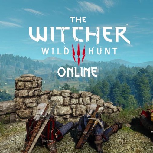 Pirat_Nation's tweet image. The Witcher 3 Online mod has been released.

The mod by ``Rejuvenate´´ brings true multiplayer to The Witcher 3.
 You can now join servers, explore the world with friends, complete quests, and play through the story together.

It supports character customization via the Custom…