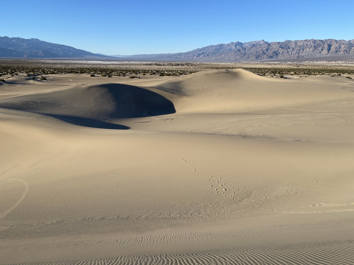 Clastics Lab tweet media