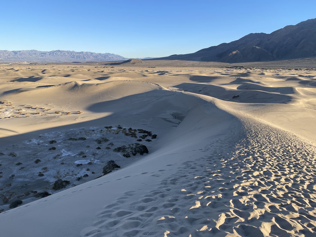 Clastics Lab tweet media