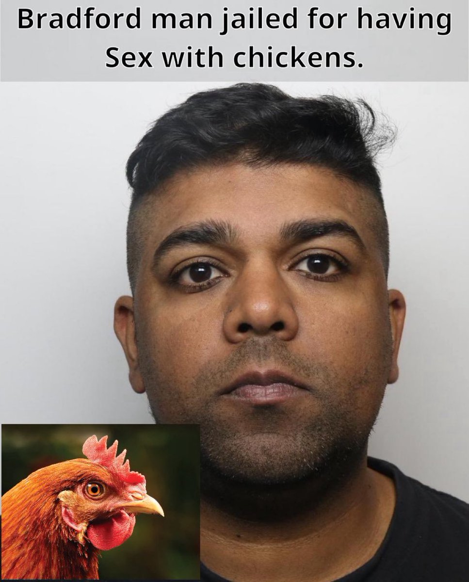 benonwine's tweet image. Absolutely Sickening!!!!

A 37-year-old man from Bradford, West Yorkshire, was jailed for three years after pleading guilty to having sexual intercourse with chickens, possessing indecent images of children, and related offences.

Usual Suspect of Course, hope the Chicken is ok.
