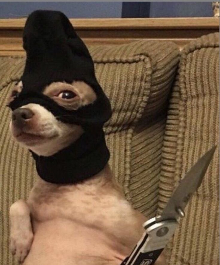 hannnitaaa_'s tweet image. About to do my own Ulta Beauty World.