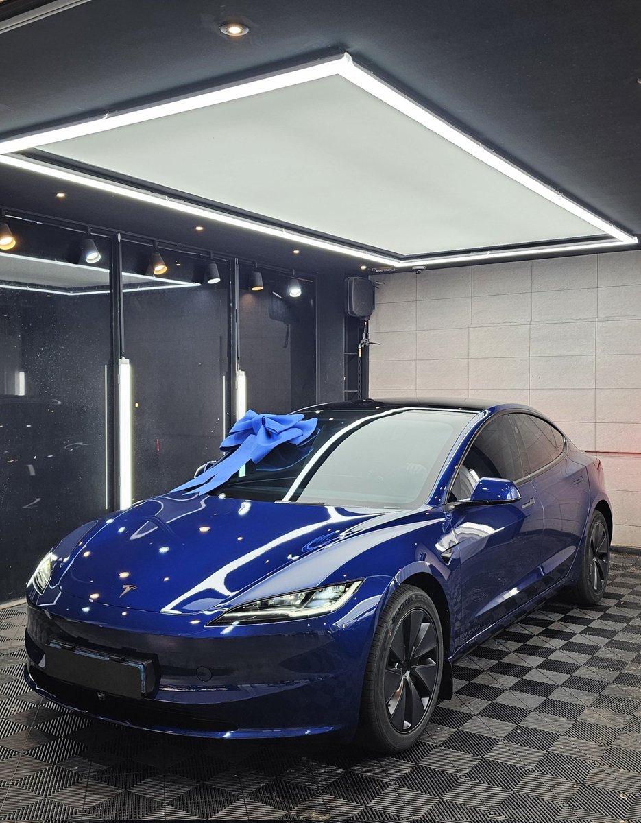 거북이달린다 🐢 tweet media