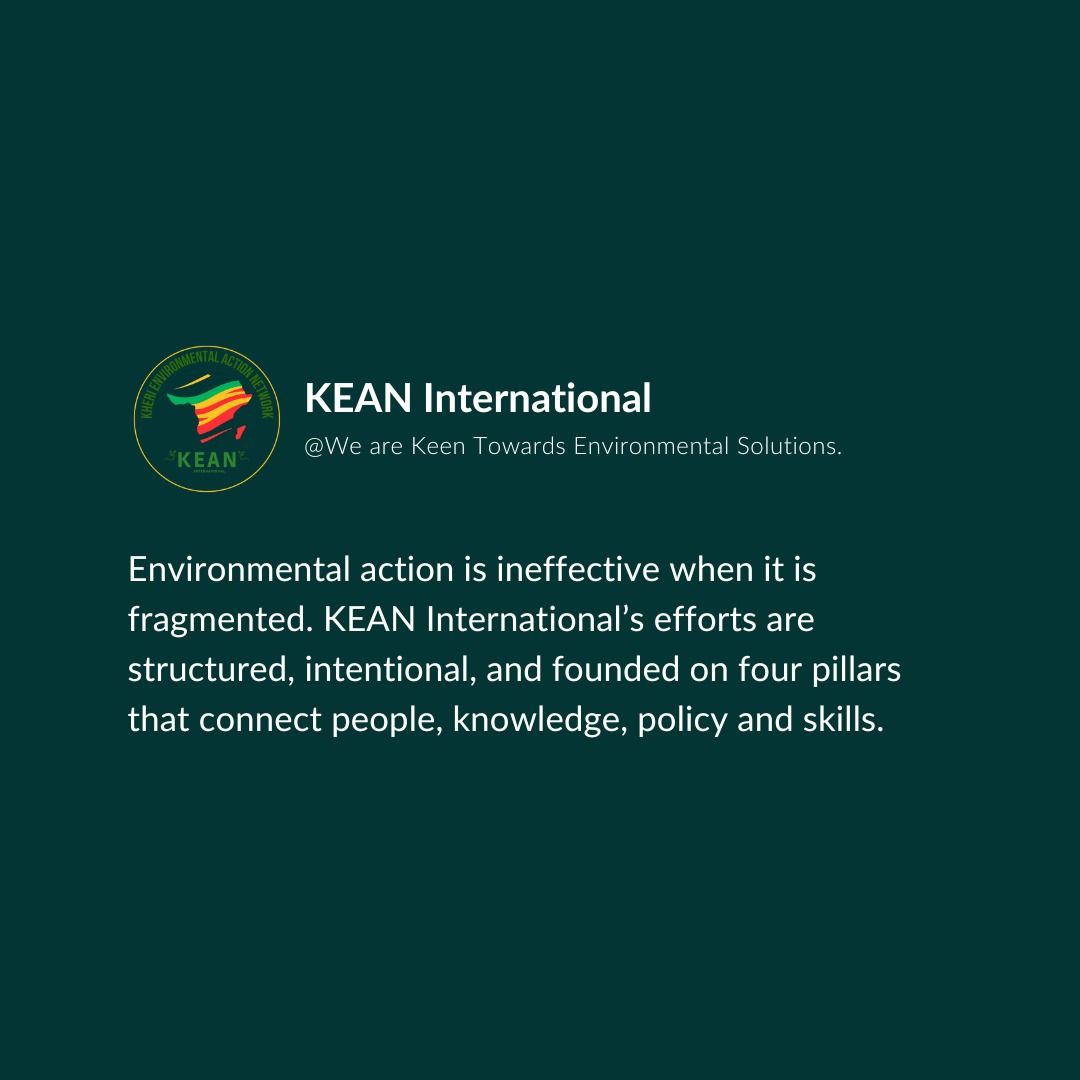 KEAN International 🇰🇪🌍🌱🕊 tweet media
