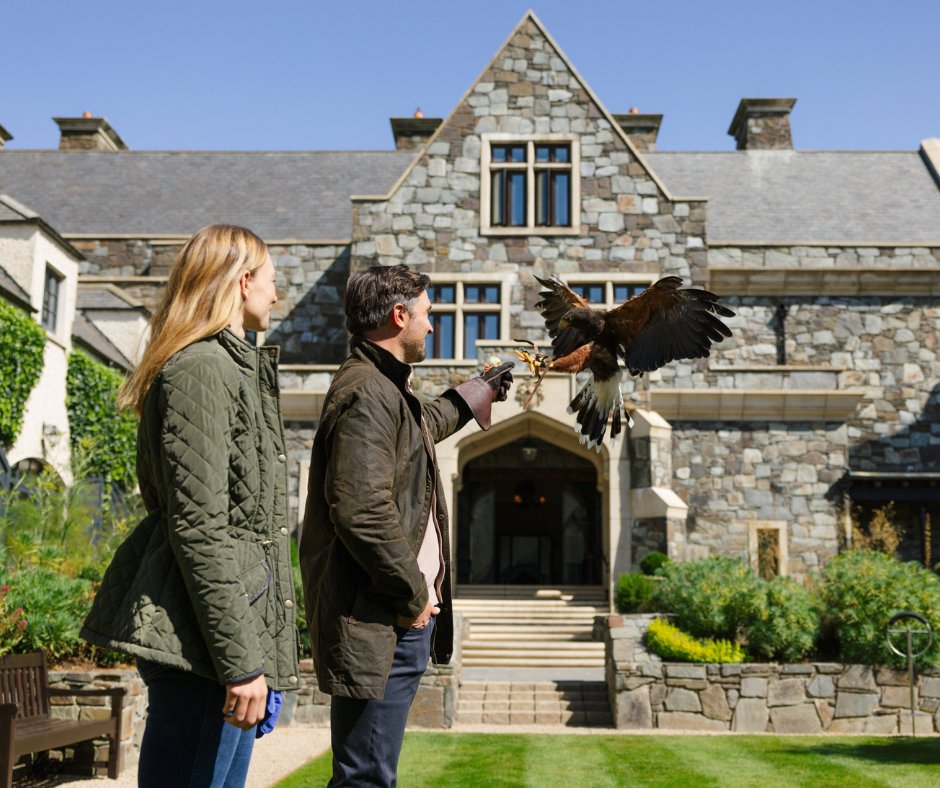 Trump Ireland tweet media