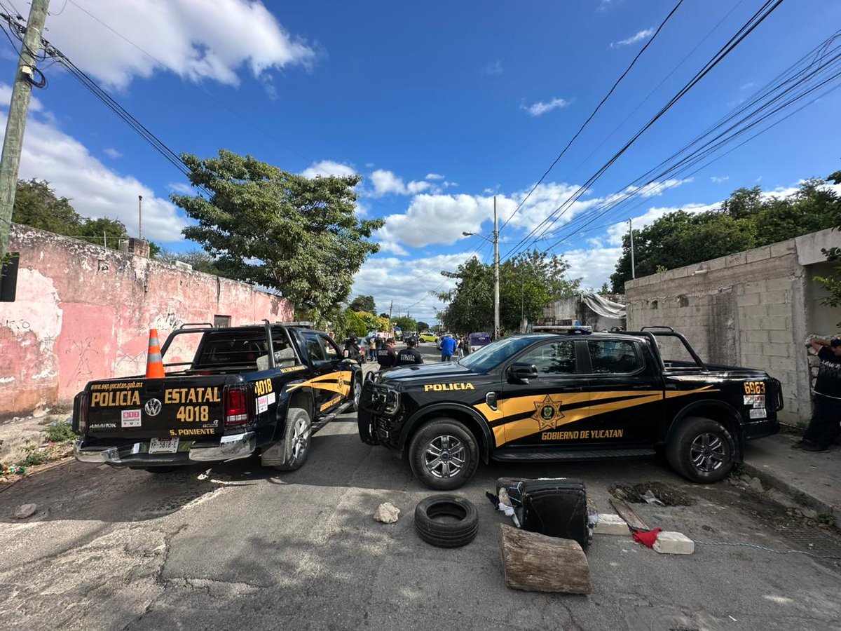 Tadeo murió por una sepsis de origen patológico conacento.com.mx/tadeo-murio-po…