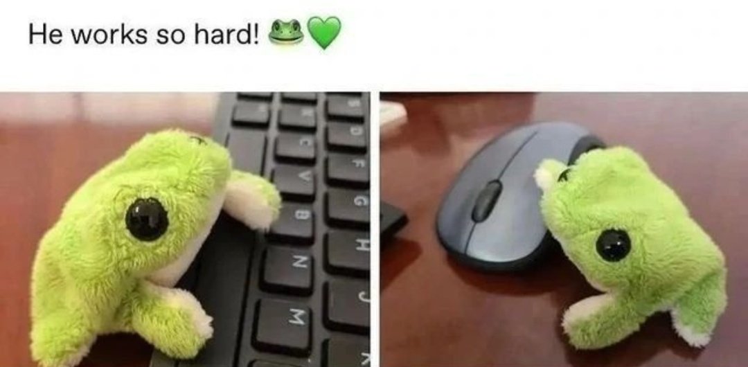 No Context Frogs tweet media
