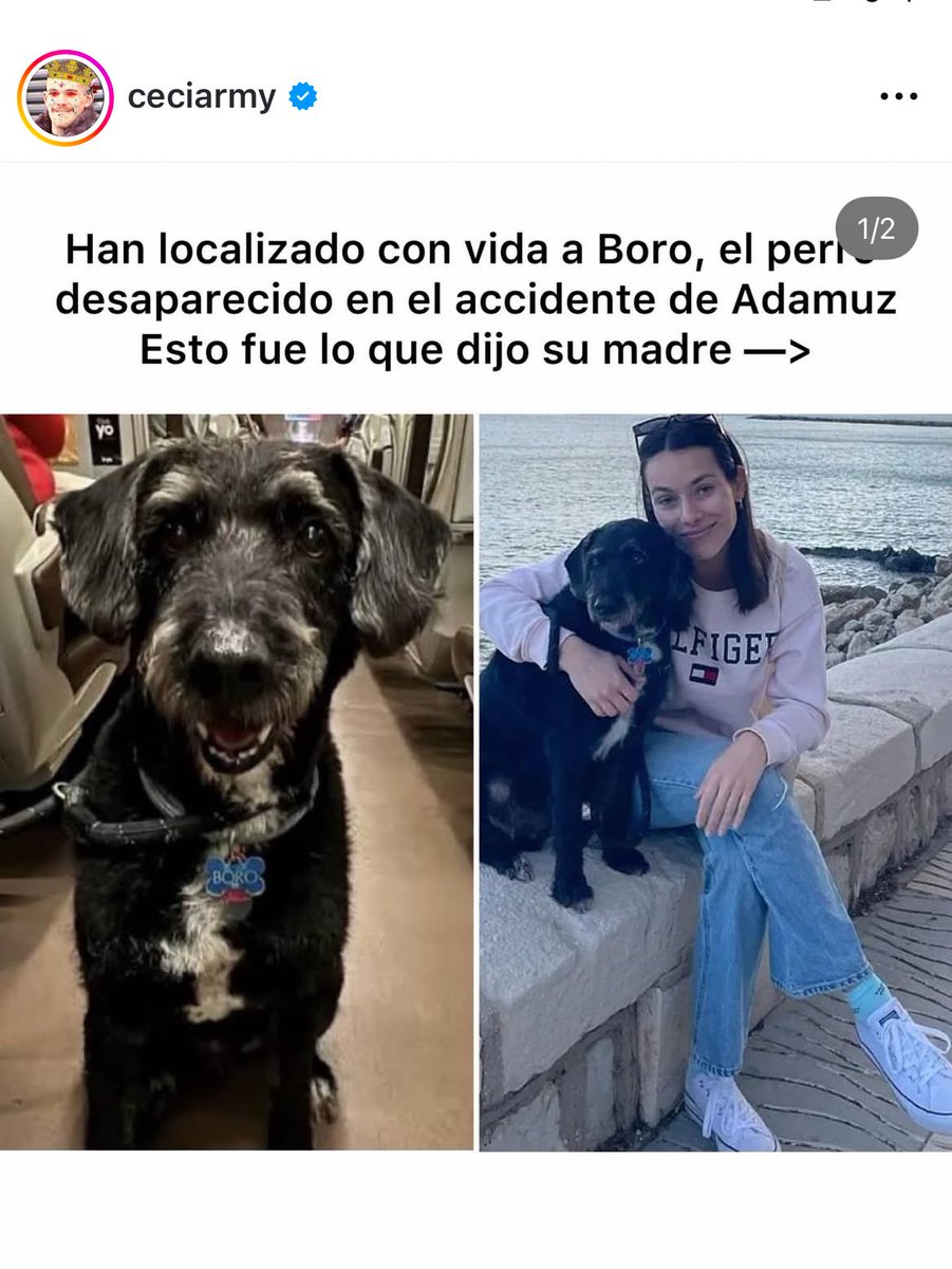 Han encontrado a Boro ♥️ es una de las mejores noticias del día. Ahora podrá estar con su familia de nuevo. A toda esa gente que salió a buscarlo, y todos los que ayudaron en esta tragedia de alguna u otra manera, gracias. Os merecéis todo lo bueno que os pase