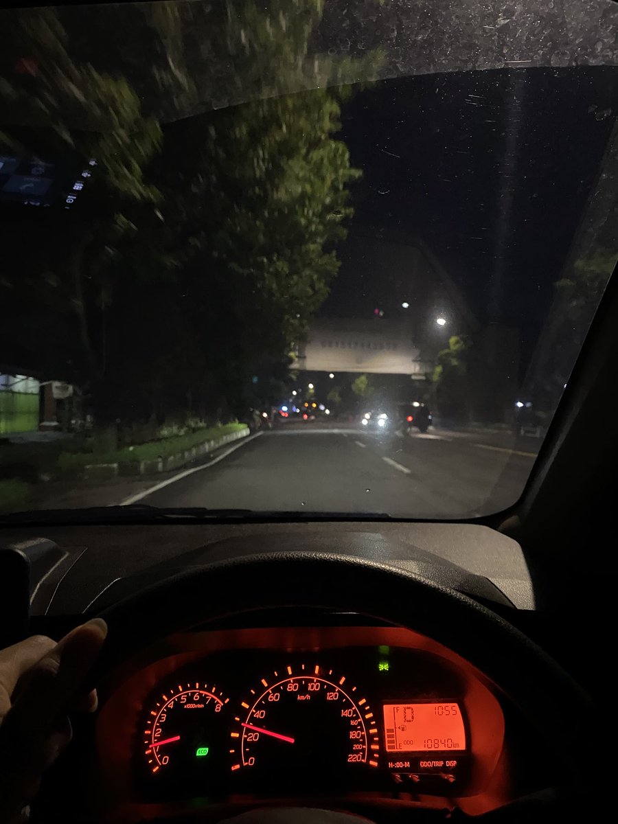 Natade Coco 🦖 tweet media