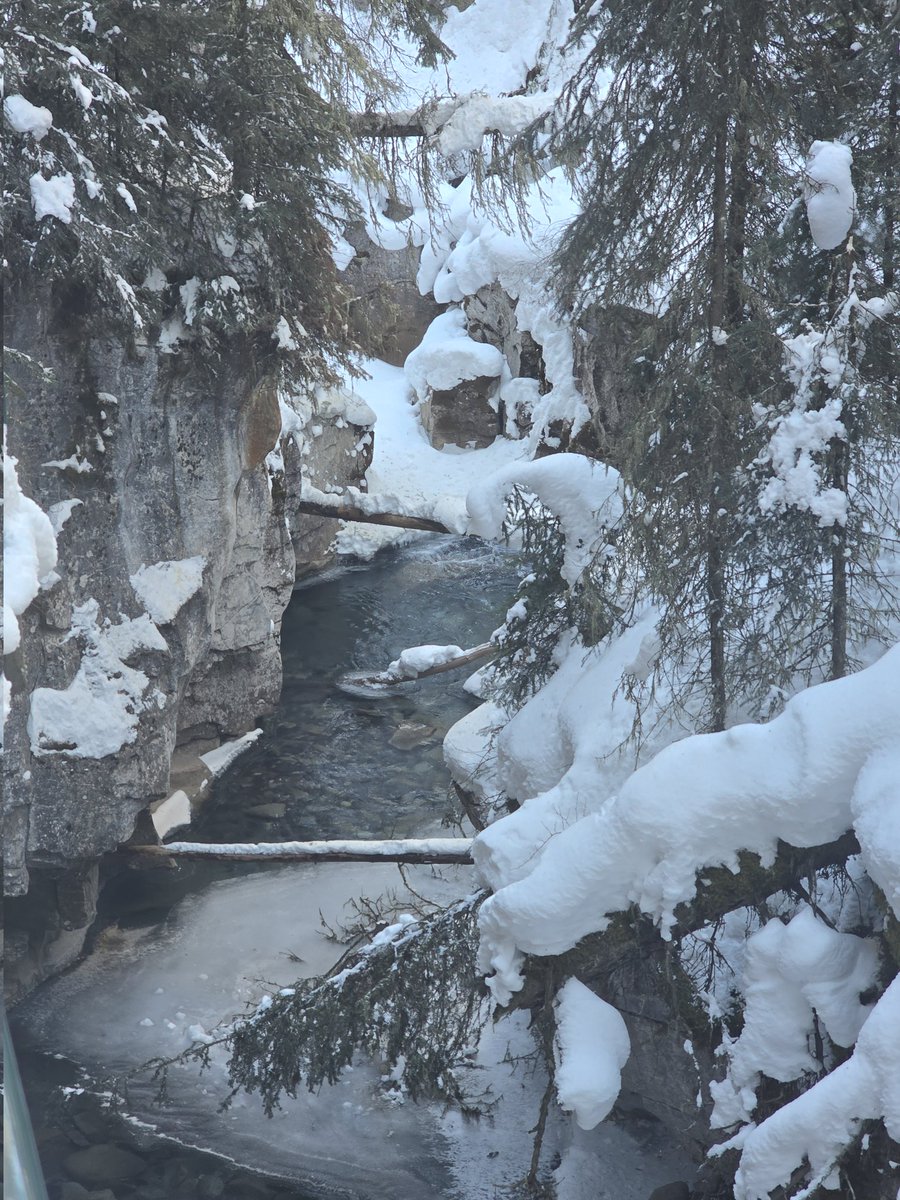 _Cyuu_'s tweet image. Been in Banff