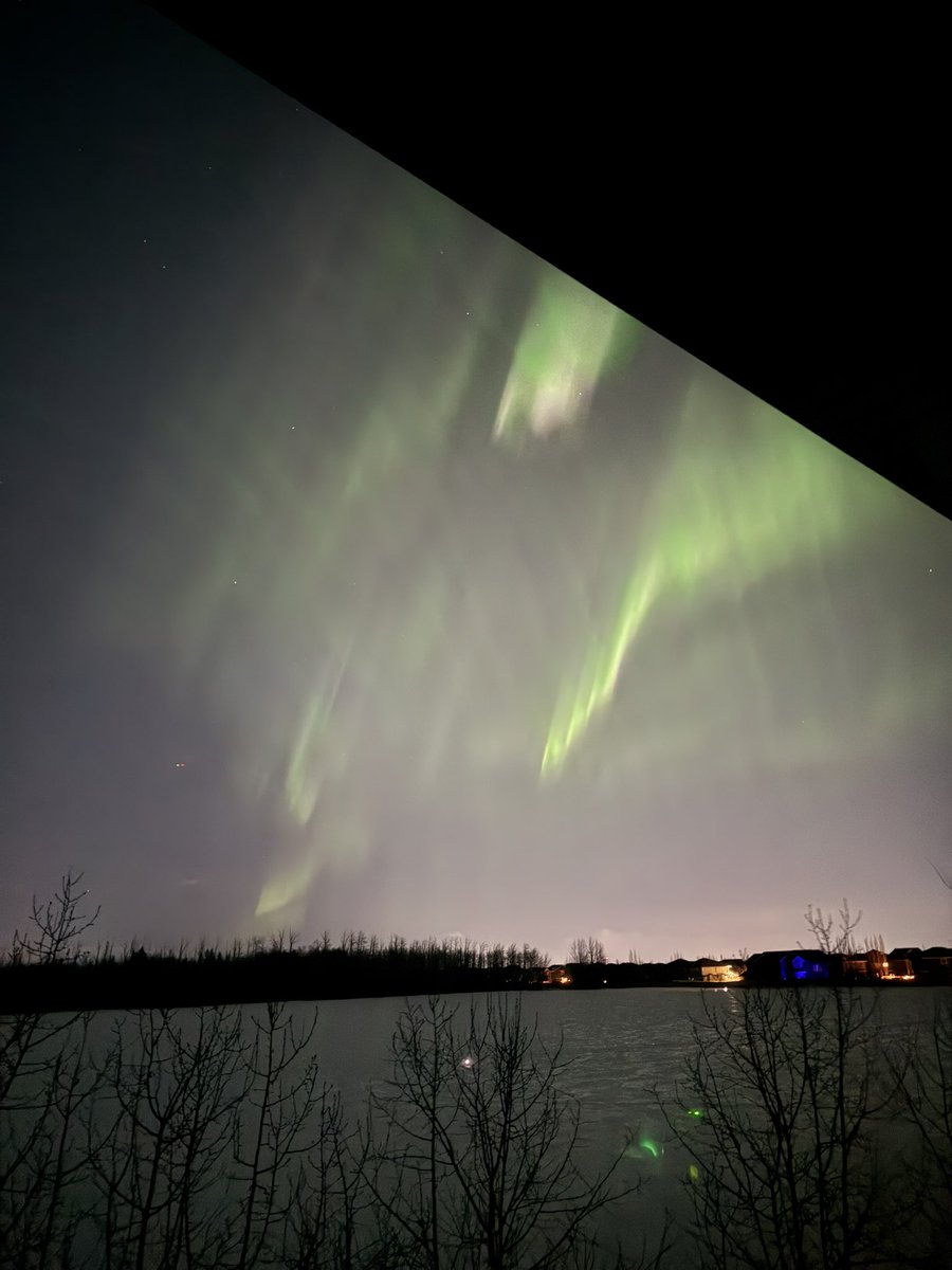 How it started last night 🕊️