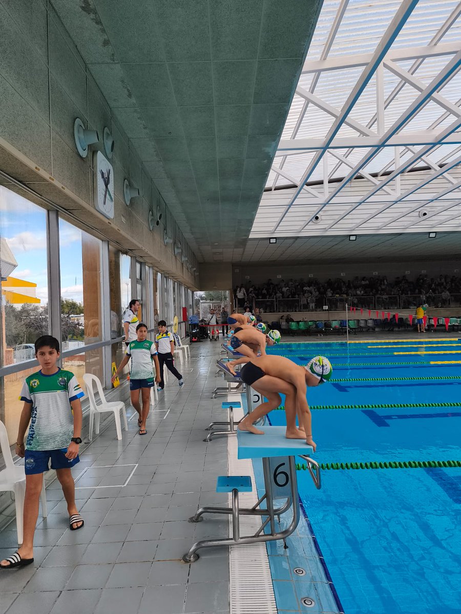 Así fue la 1ª Jornada de los Juegos Acuáticos de Promoción organizada por Mairena Acuática.

Nuestros Miniswimmers y peques de 5 a 10 años disfrutaron de una jornada divertida, sin competición, llena de juegos y sonrisas. 🐬

#SentirYVivirComoUnNadador