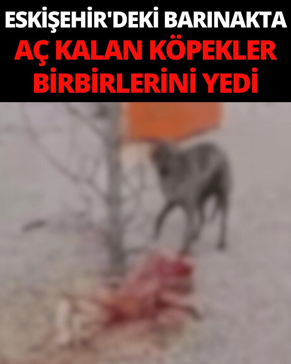 Sn <a href="/eczozgurozel/">Özgür Özel</a>  
Açıklamanız yok anladık, hesap sorun.