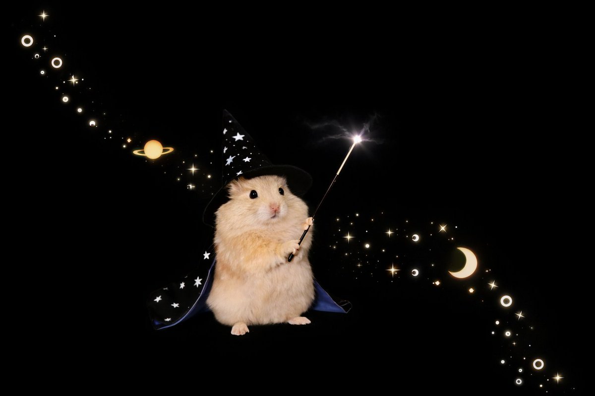 TweetsOfHamster's tweet image. ∴｡　
　･ﾟ*｡. 
　　･ *ﾟ
　 ･ ﾟ*
     🪐     
   *･｡
      *.｡*
           *   °*. ﾟ｡
                      °*.
                      ﾟ*.
                 🌙 ･
             ｡ ･ﾟ
       ｡°*.
    ｡*･