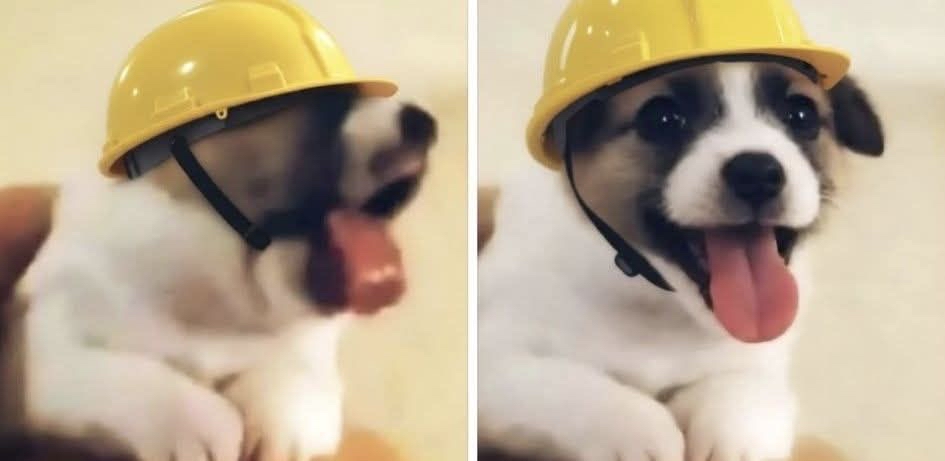 Guarromantico_'s tweet image. Ponerse a chambear // Ponerse a chismear