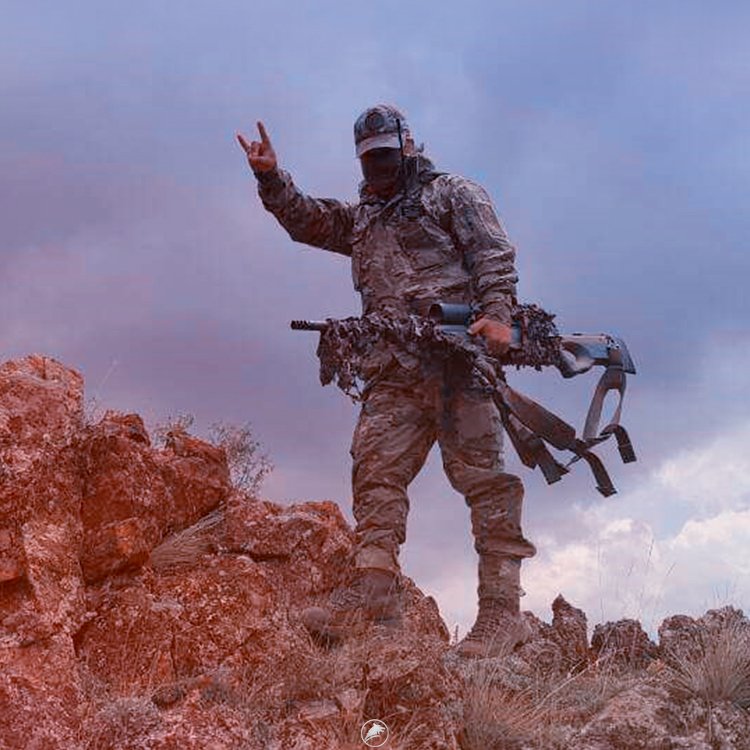 militarist tweet media