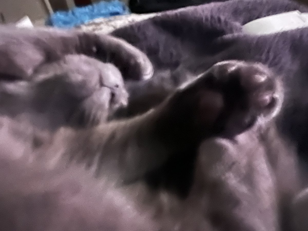 stuffymint's tweet image. Stuffy speaks of balustrades.