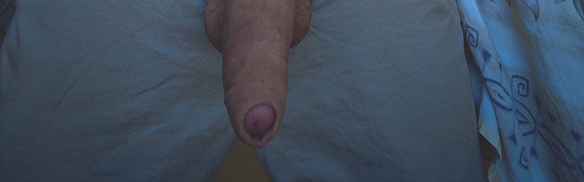 WindWhole tweet media